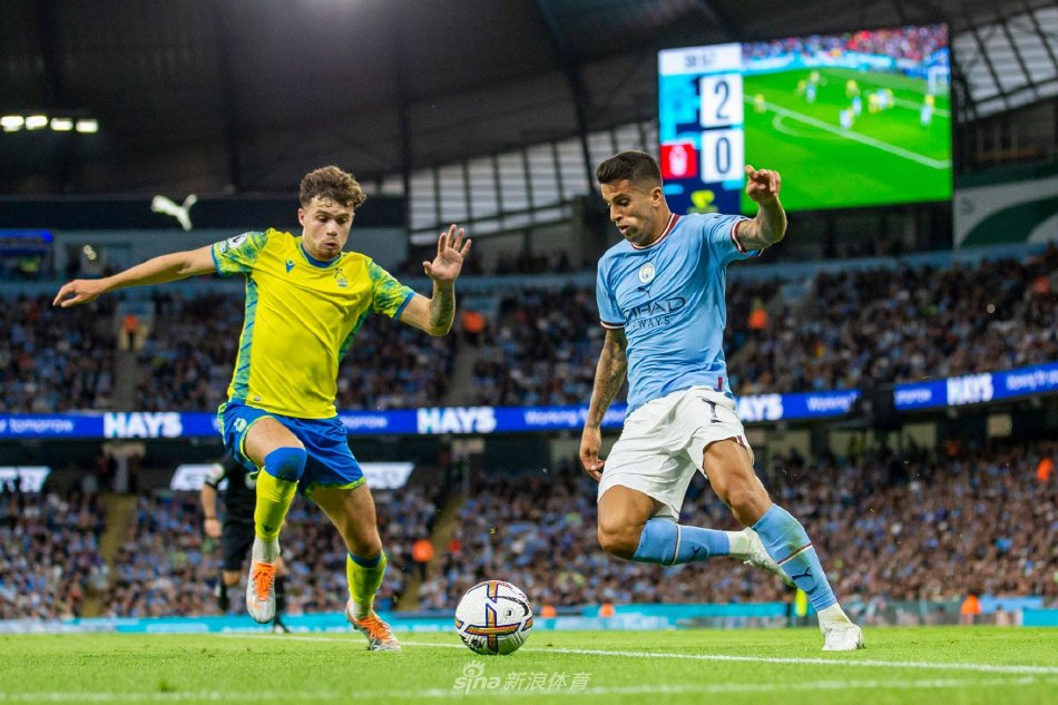 经处于类似 经处于类似