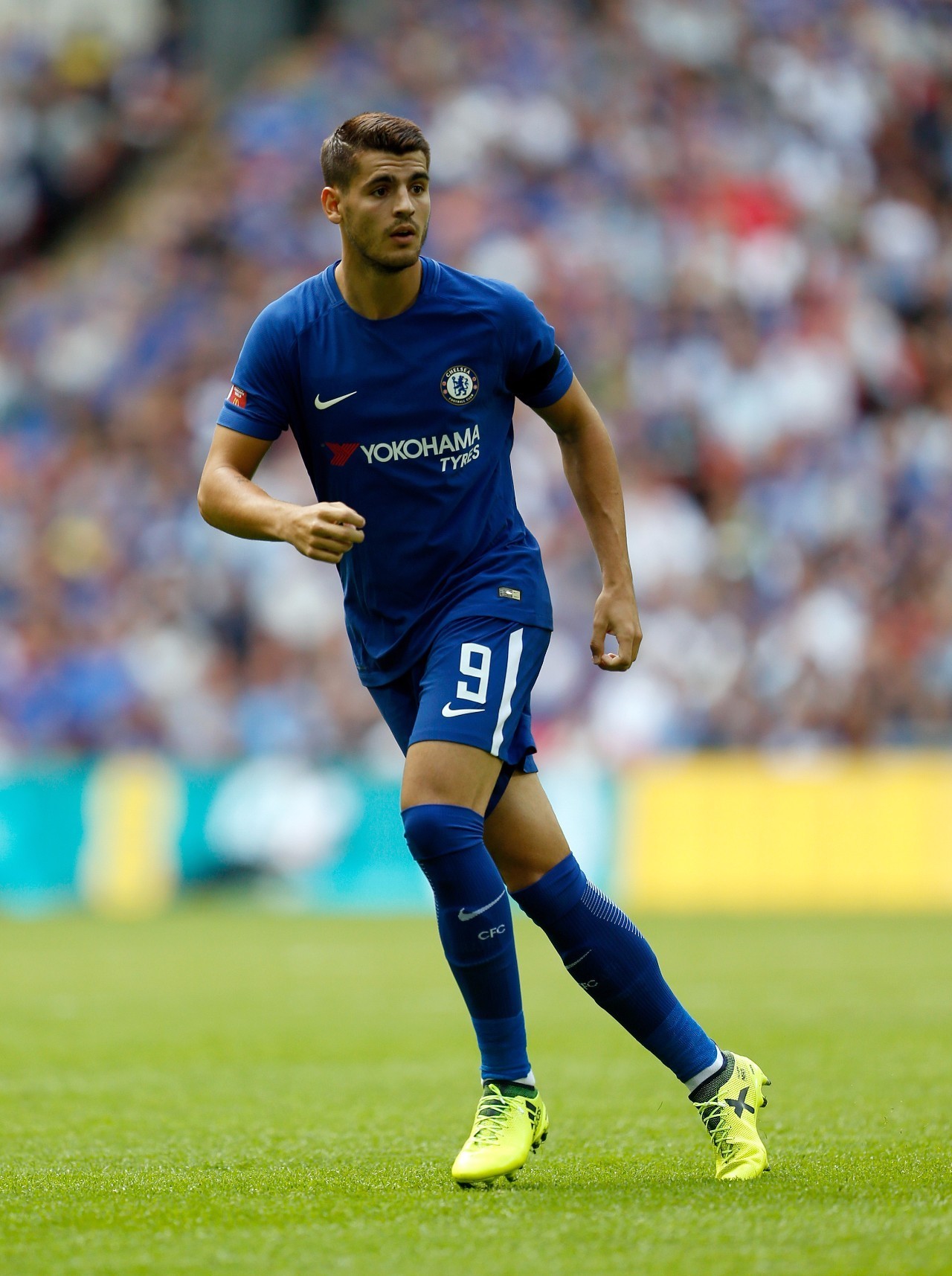 数据显示 数据显示